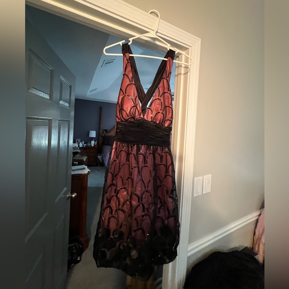 Size 10 Adrianna Papell Party Dress